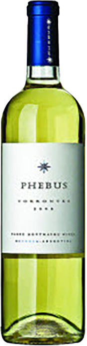 Fabre Montmayou Phebus Torrontés